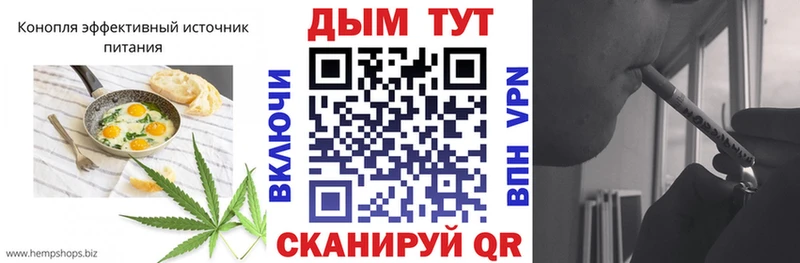 Canna-Cookies марихуана  Купить  Ртищево 