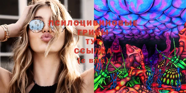твердый Медногорск