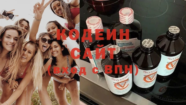 твердый Медногорск