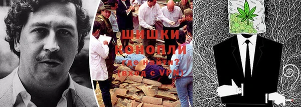 экстази Медвежьегорск
