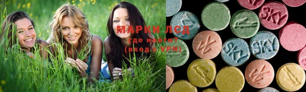 твердый Медногорск
