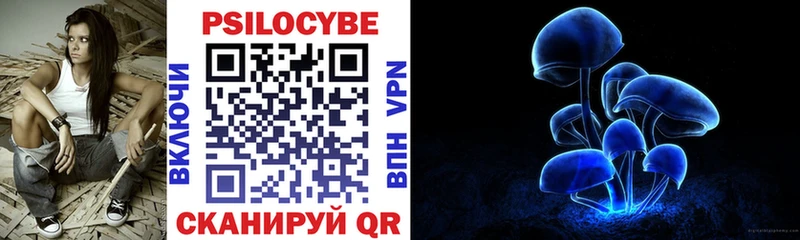 Купить закладки  Ртищево  Галлюциногенные грибы прущие грибы 